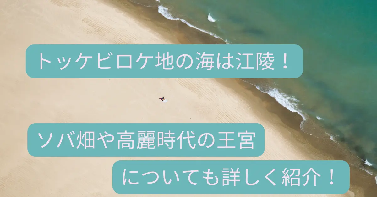 トッケビロケ地の海は江陵にある ソバ畑や高麗時代の王宮についても紹介