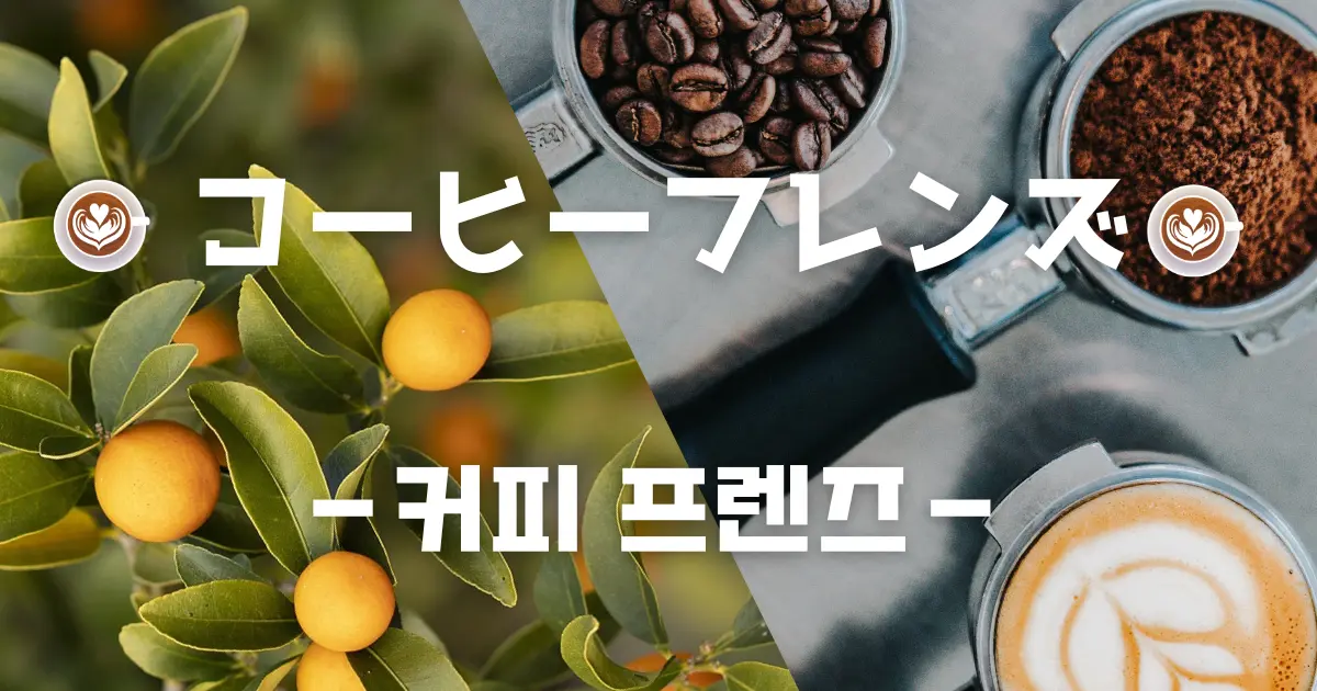 コーヒー フレンズ(韓国バラエティ)感想！ キャストの優しさに心も